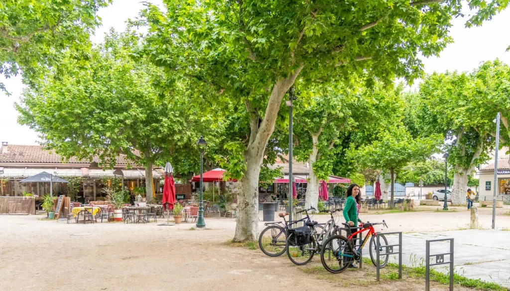 Vélo à Vallabrègues