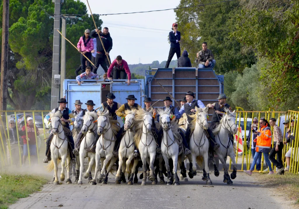 Abrivado de la Fête d