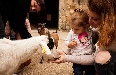 Famille au vieux mas avec les animaux de la ferme