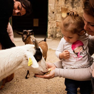 Famille au vieux mas avec les animaux de la ferme