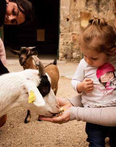 Famille au vieux mas avec les animaux de la ferme