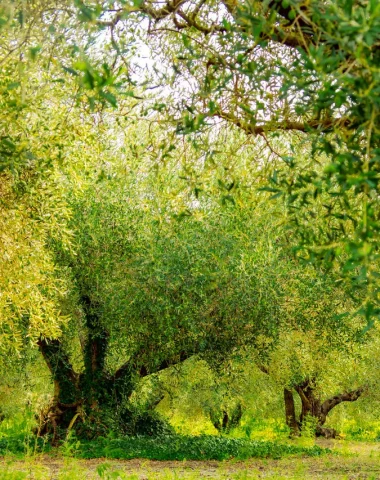 La destination Terre d’Argence