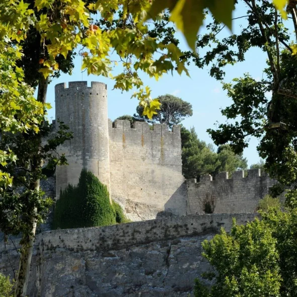 La tour de la forteresse de Beaucaire et sa nature environnante