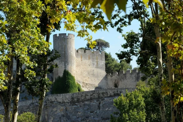 Top 6 des activités à faire à Beaucaire