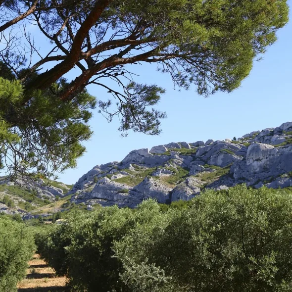 Les Alpilles en Provence