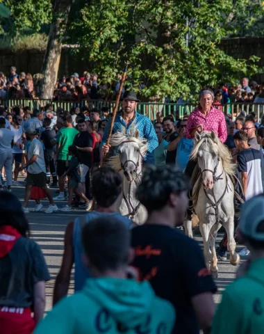 Les fêtes de la Madeleine