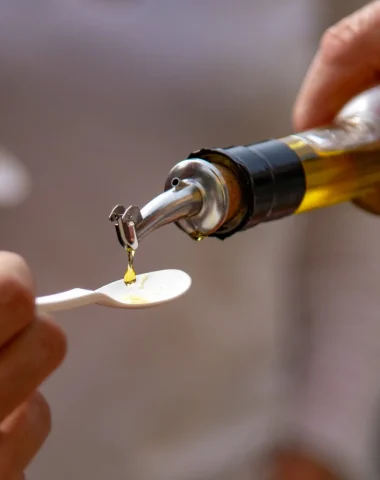 Dégustation d'huile d'olive en Terre d'Argence