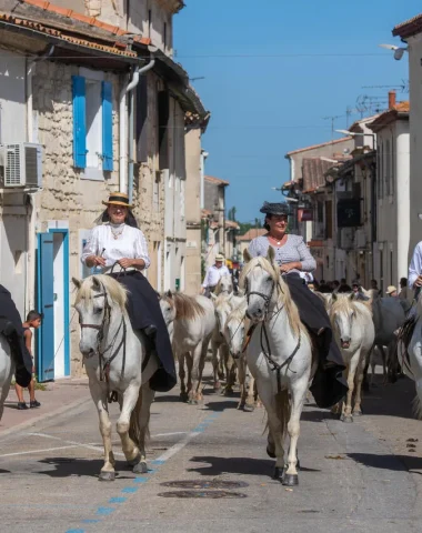 Les traditions camarguaises