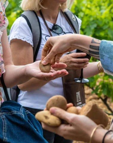 Voyage sensoriel, dégustation de vin