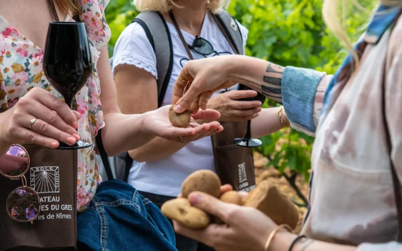 Voyage sensoriel, dégustation de vin