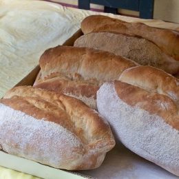 Le pain de Beaucaire