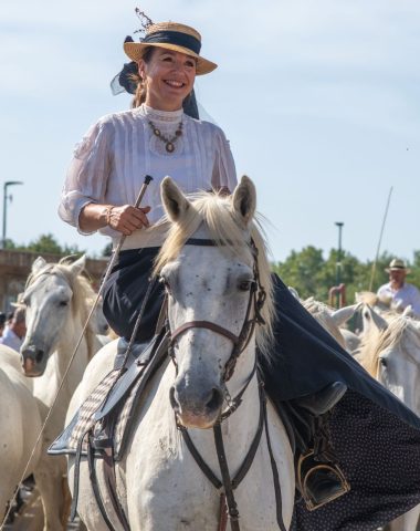 La Foire aux chevaux
